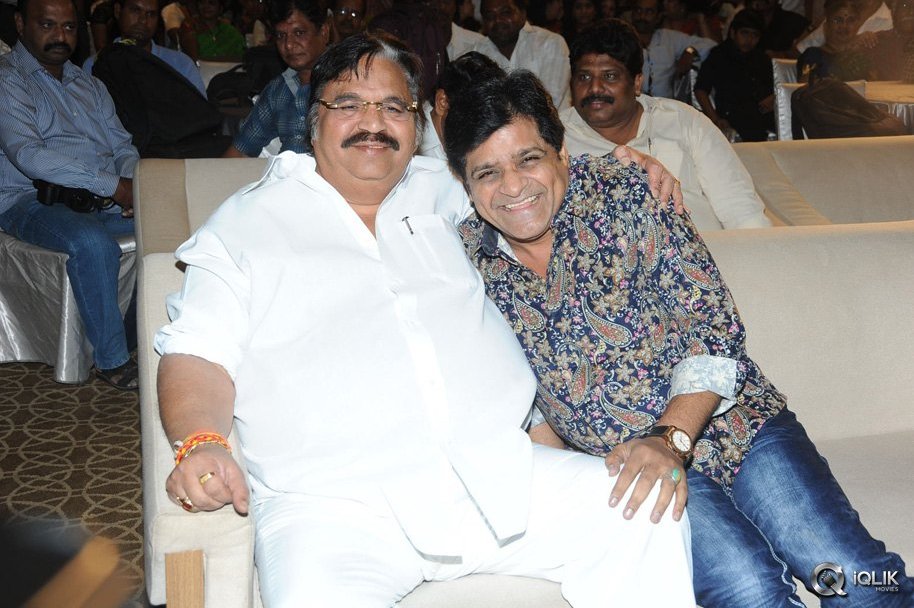 Malupu-Movie-Audio-Launch